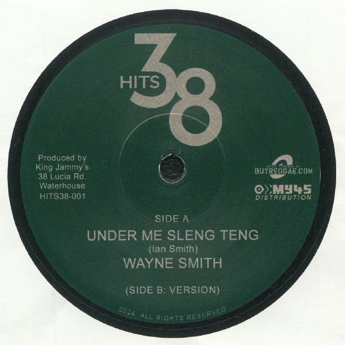 Wayne SMITH — Under Me Sleng Teng