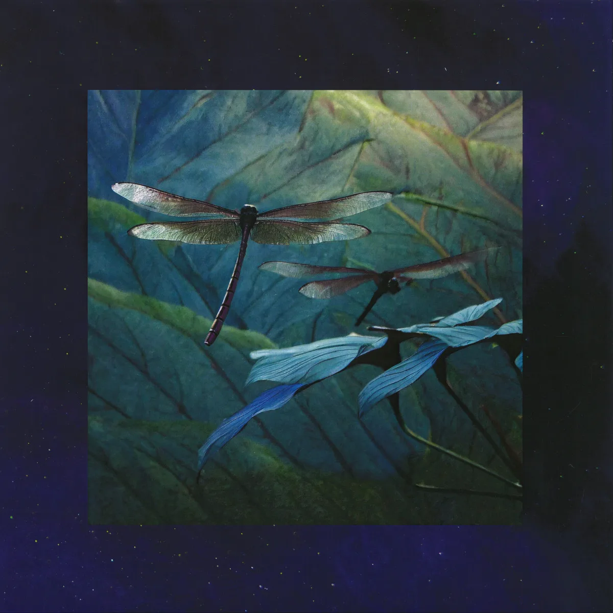 Bryz — Internal Flight EP