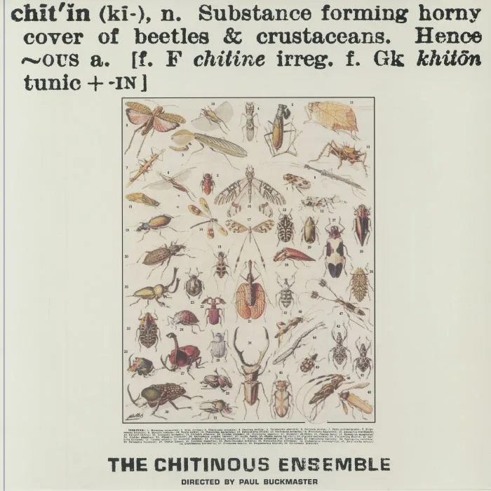 Front cover — Paul BUCKMASTER / THE CHITINOUS ENSEMBLE — Chitinous