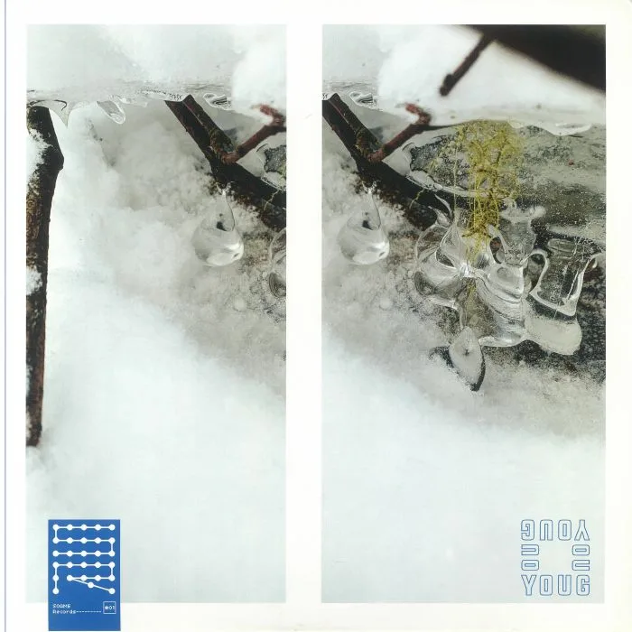 Front cover — YOUG — L'enigme Du Timbre
