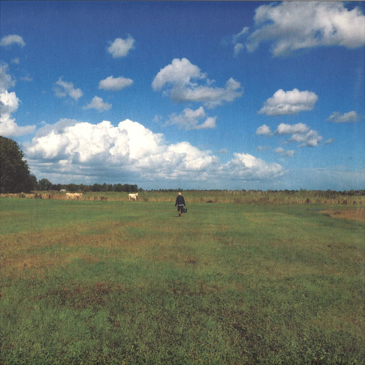 Biosphere — The Hilvarenbeek Recordings