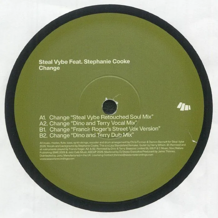 Steal Vybe feat Stephanie Cooke — Change