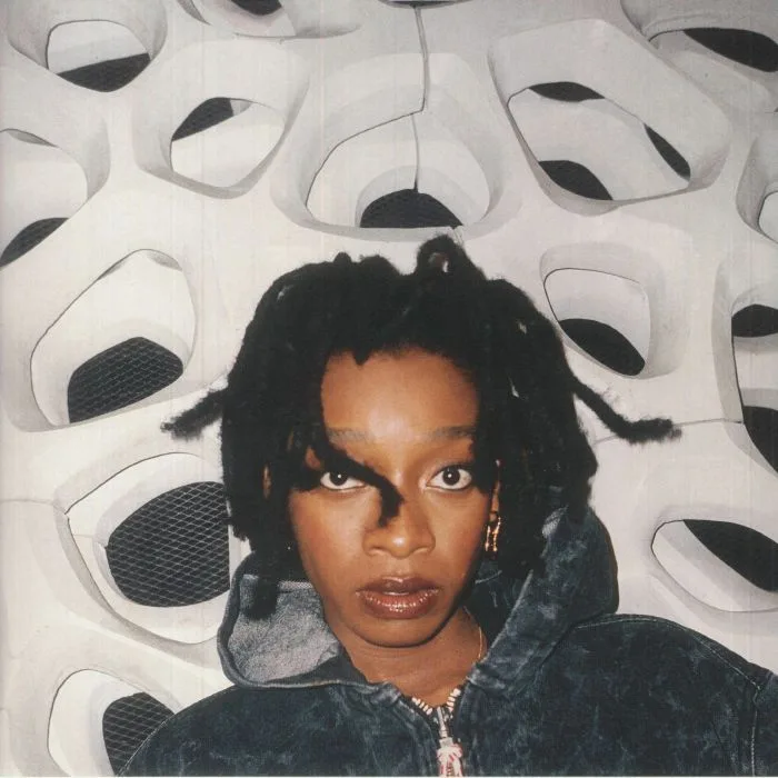 LITTLE SIMZ — No Thank You