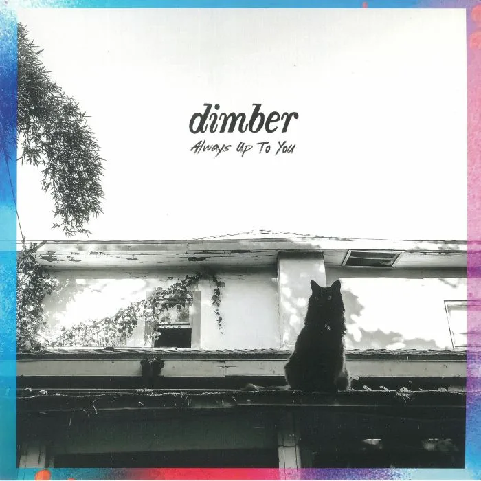 DIMBER — Always Up To You