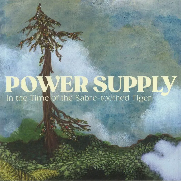 POWER SUPPLY — In The Time Of The Sabre Toothed Tiger