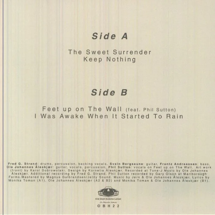 Back cover — The QUARTERLIES — Shadowless Ceiling EP