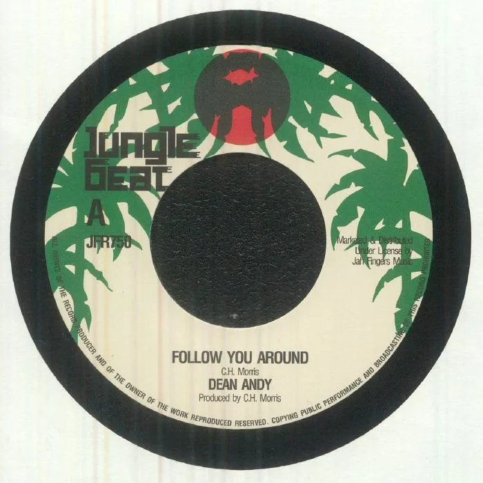 Dean ANDY — Follow You Around