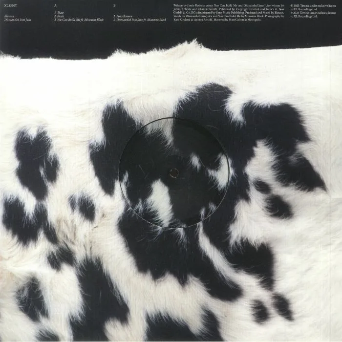 Back cover — BLAWAN — Dismantled Into Juice