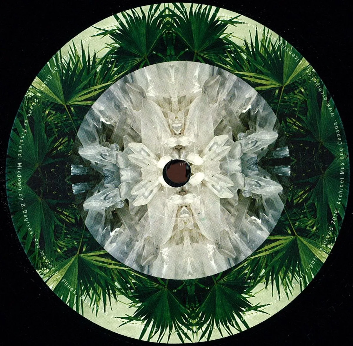 Pineland — Grounded Ep