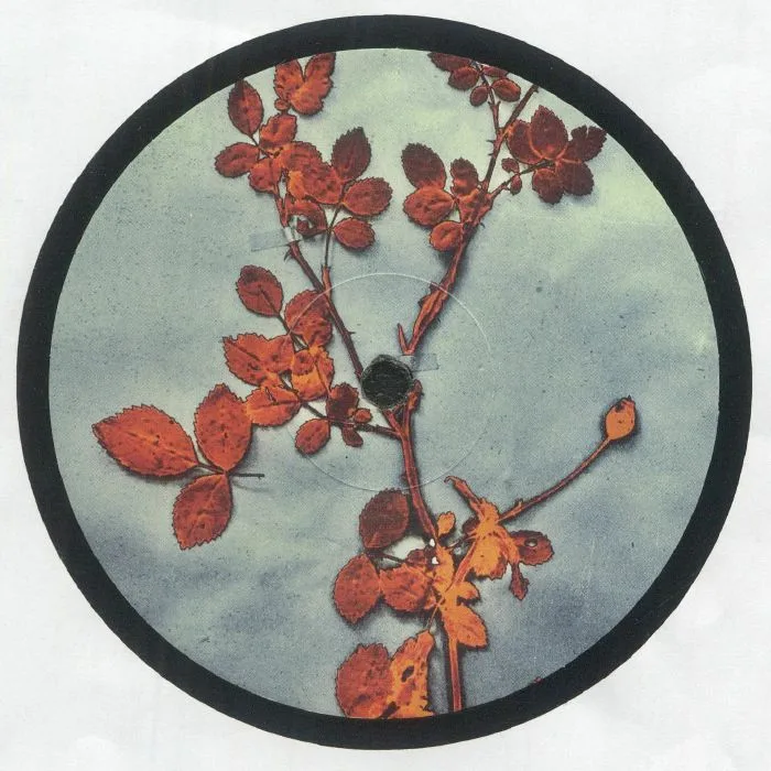 Back cover — Jorge Gamarra & D'Marc Cantu — The Bramble E.P