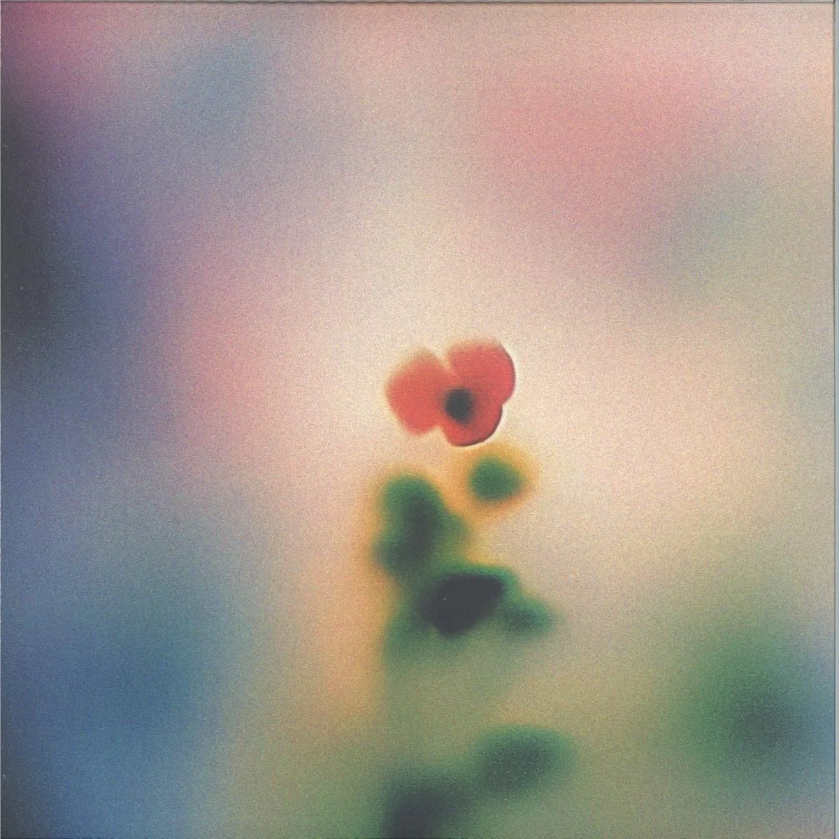 Wala — SMV012