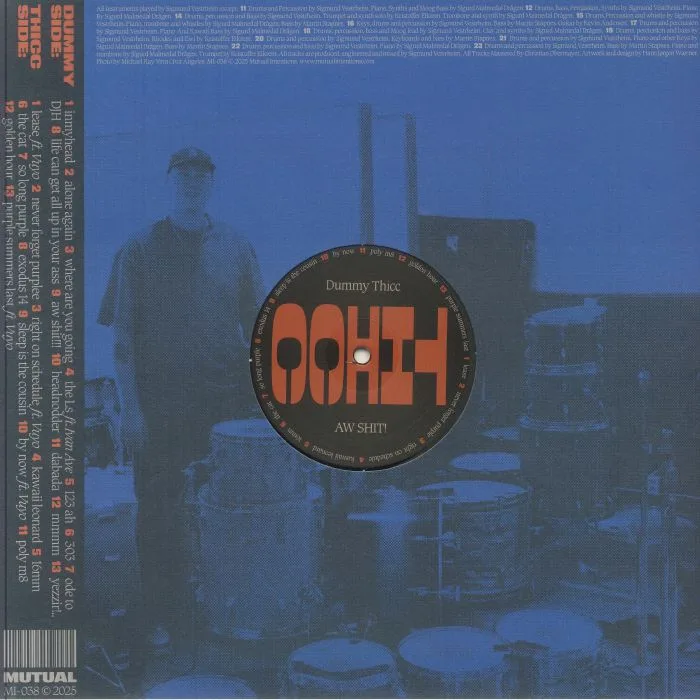 Back cover — DUMMY THICC / VARIOUS — Aw Shit!