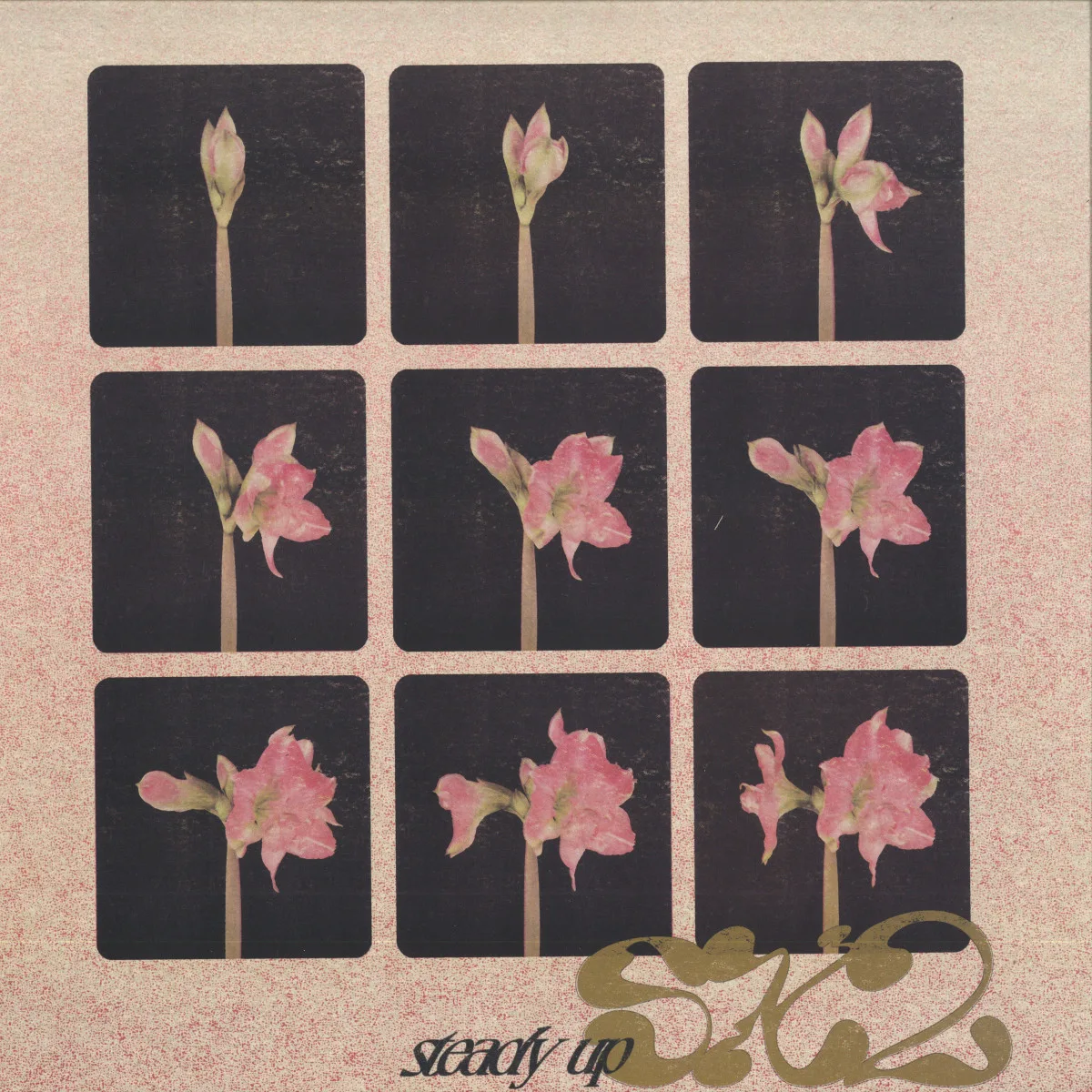 Sx2 — Steady Up