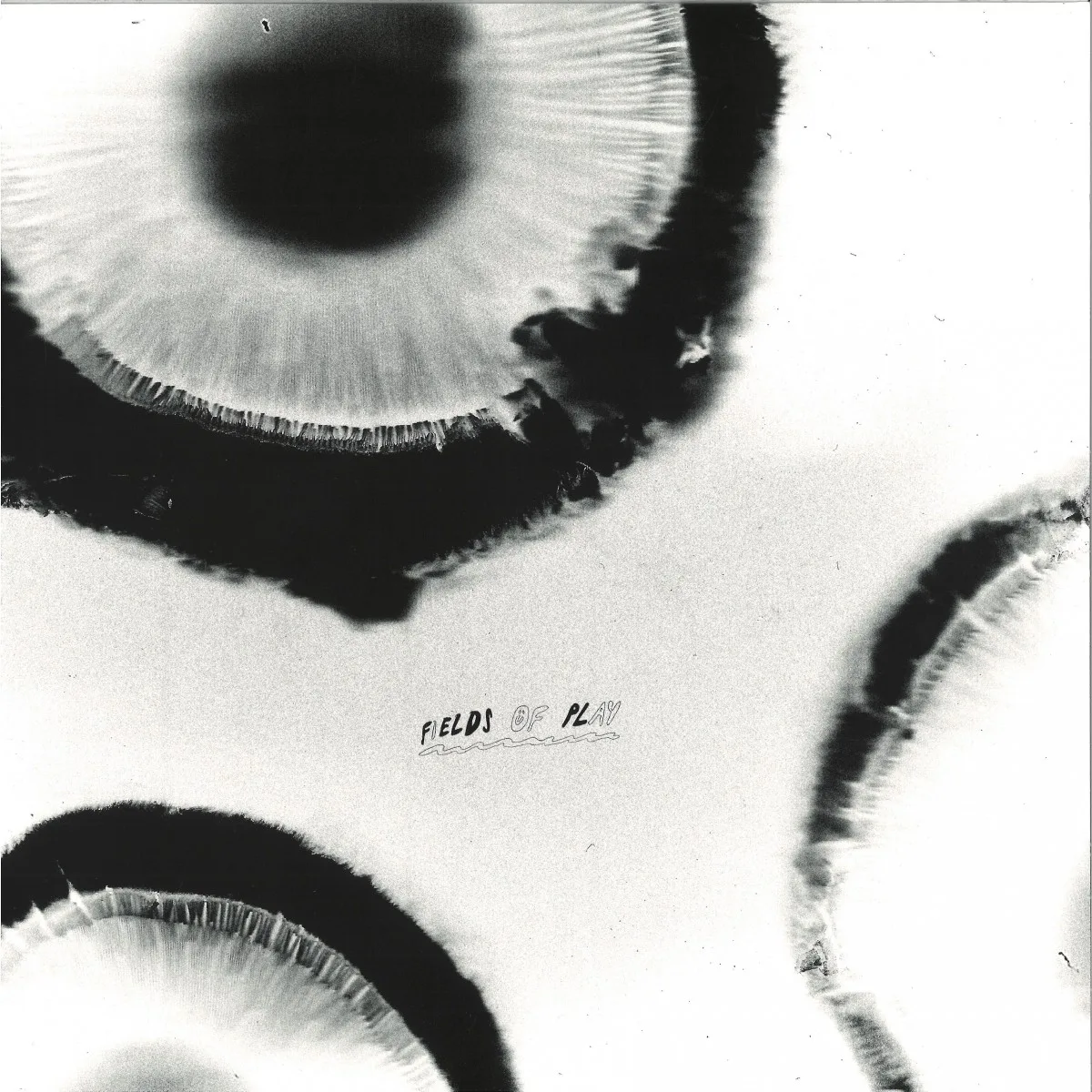 Anatta — FIELDS OF PLAY