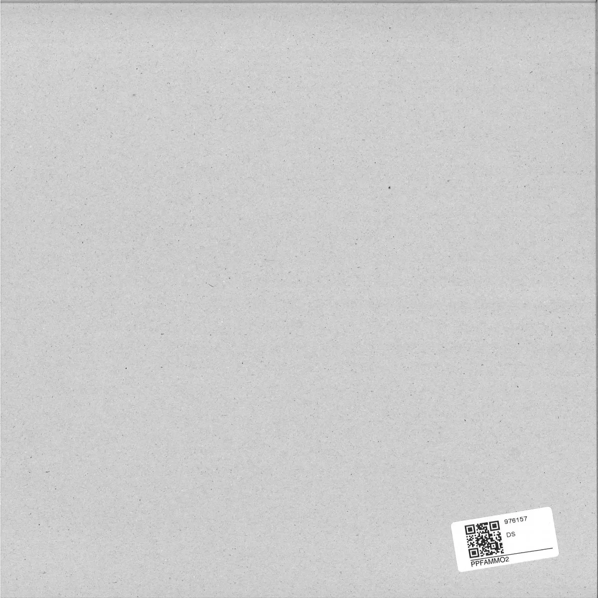 Back cover — The Popular People's Front — AMMO 2