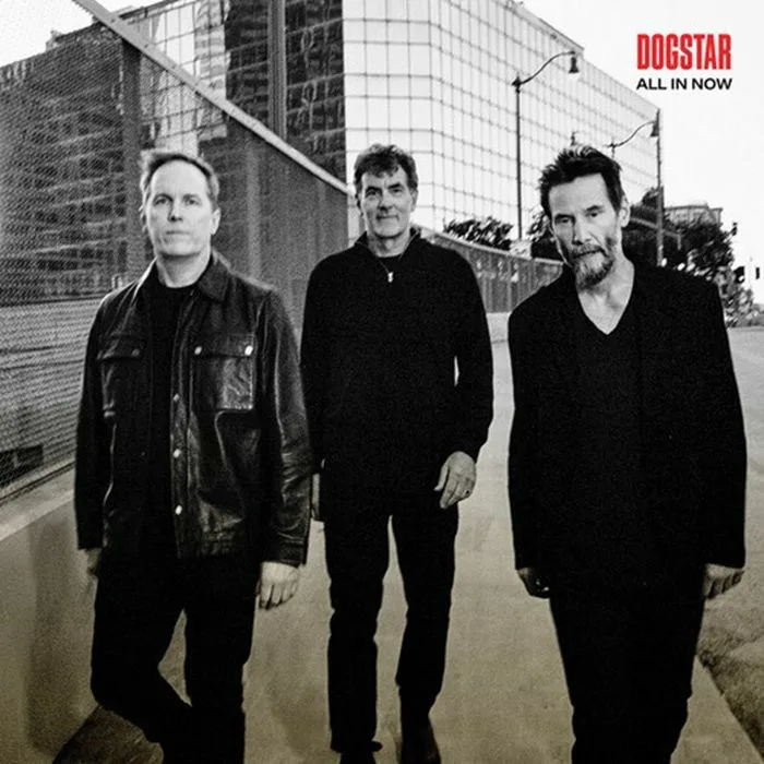 DOGSTAR — All In Now