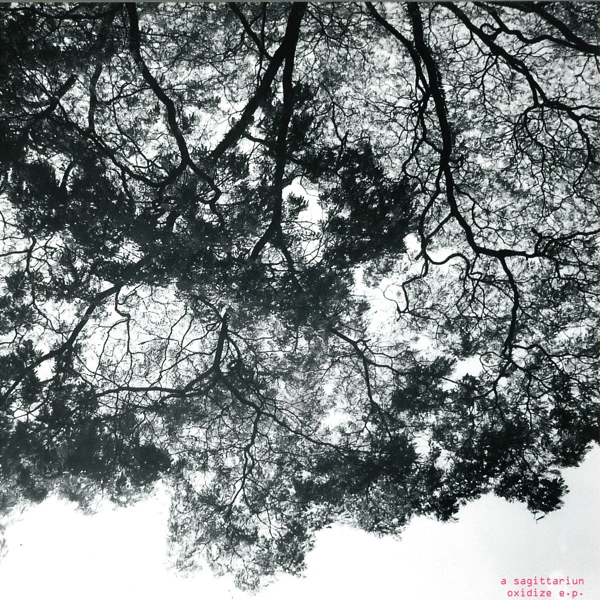 A Sagittariun — Oxidize, Rvds Remix