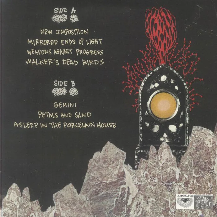 Back cover — ABRONIA — Shapes Unravel