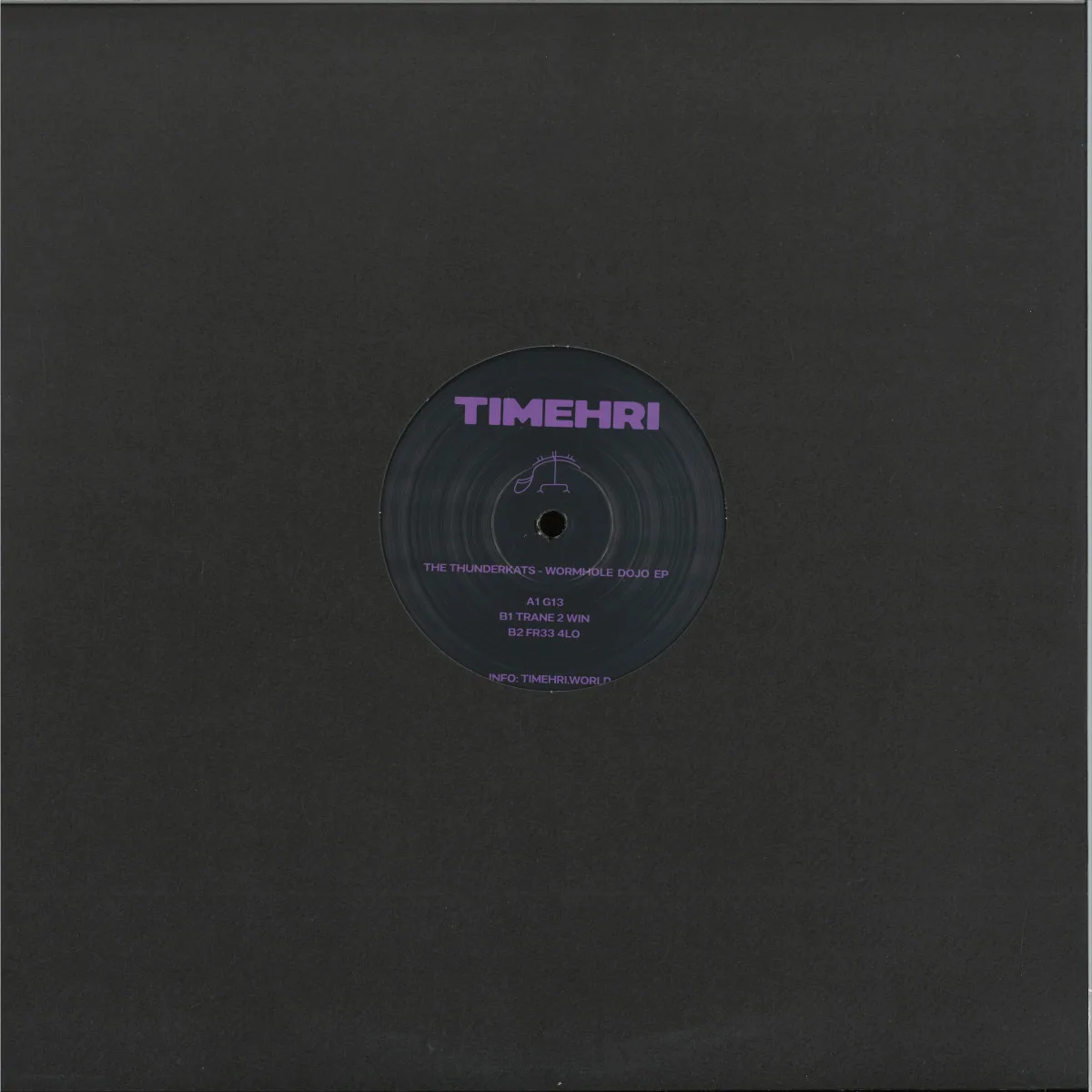 Обратная сторона обложки — The Thunderkats — Wormhole Dojo EP