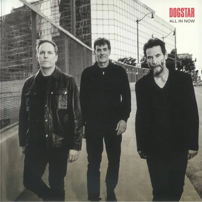 DOGSTAR — All In Now