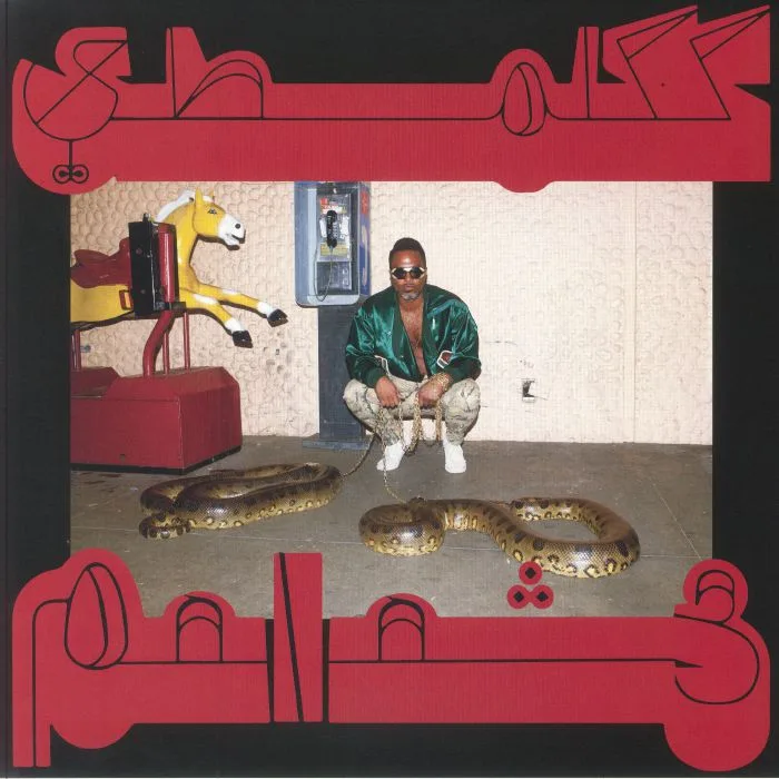 SHABAZZ PALACES — The Floss Vibes Of Shabazz Vol 1: Robed In Rareness (Loser Edition)