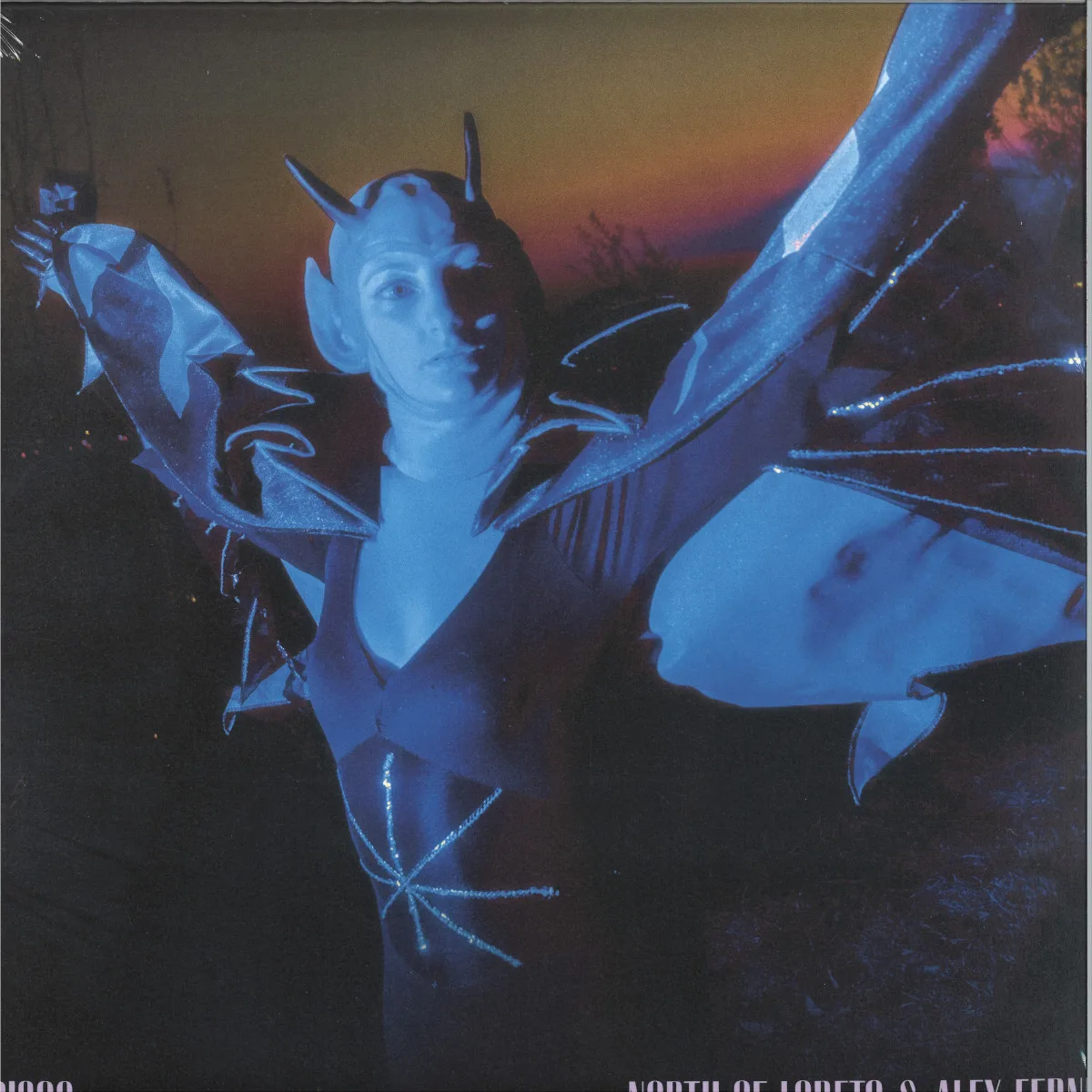 North Of Loreto&Alex Fernet — Disco / Diavolo Blu