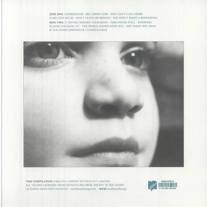Обратная сторона обложки — BRIAN — Understood (reissue)