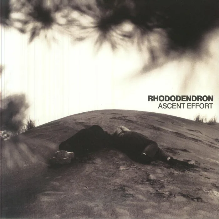 RHODODENDRON — Ascent Effort