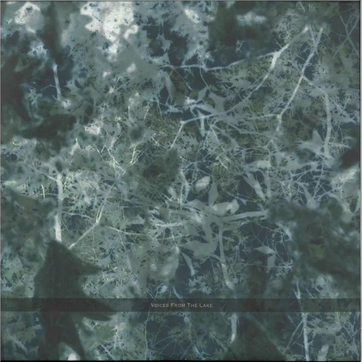 Voices From The Lake — Voices From The Lake (2023 Edition) 4x12"