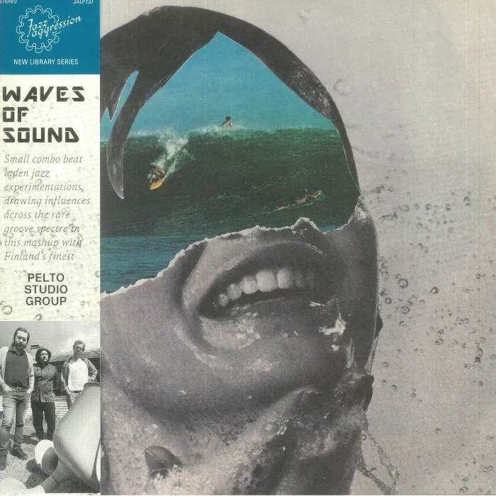 PELTO STUDIO GROUP — Waves Of Sound