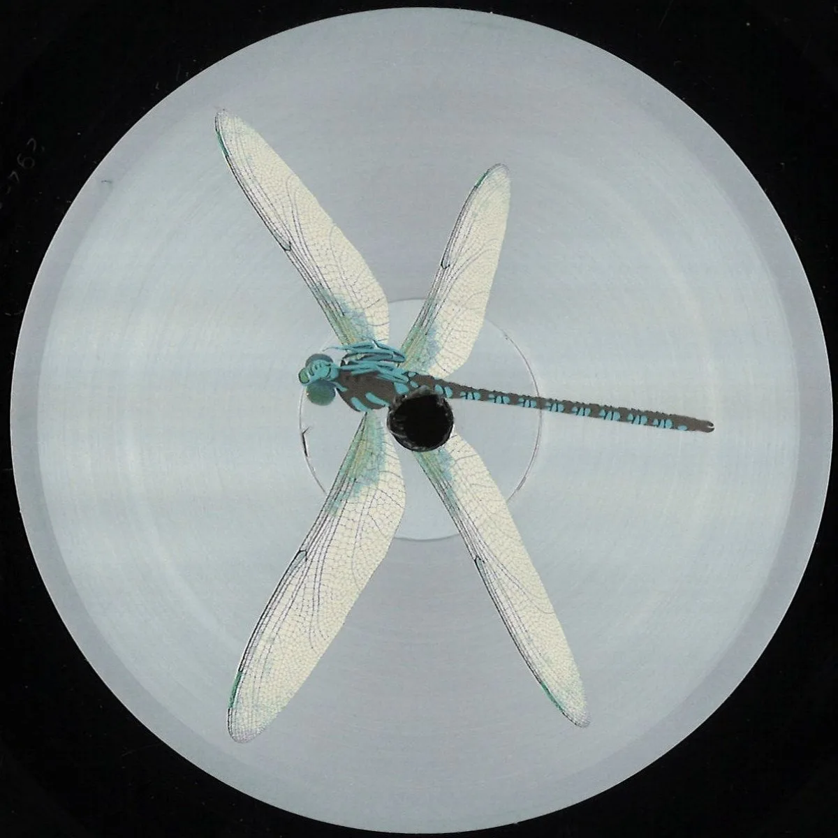 Priori — SCN EP