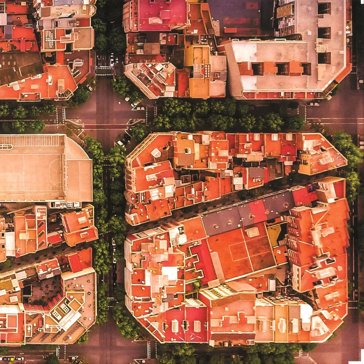 TCHDWN — BCN City Of Mind Spring Collection