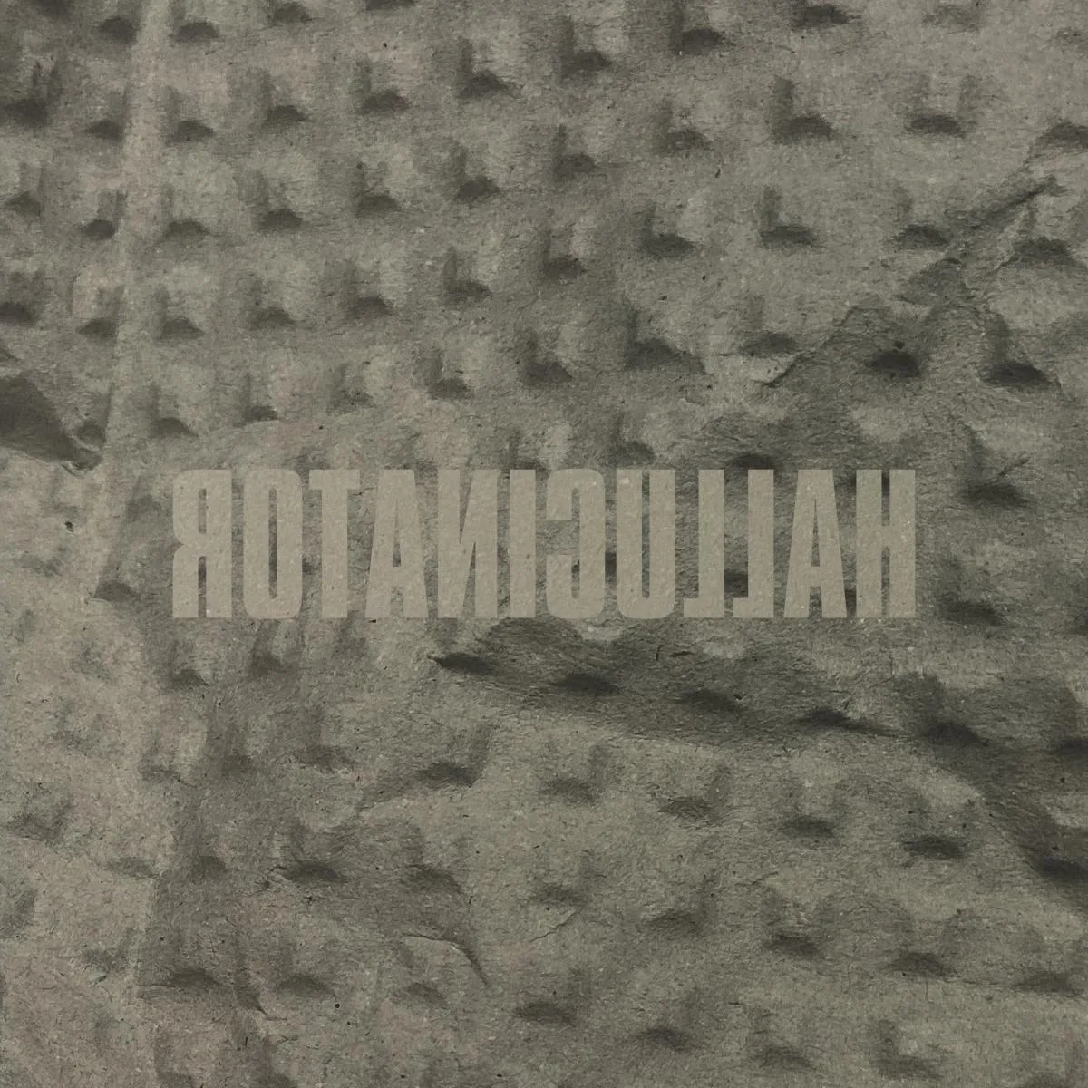 Hallucinator — Landlocked (2x12")