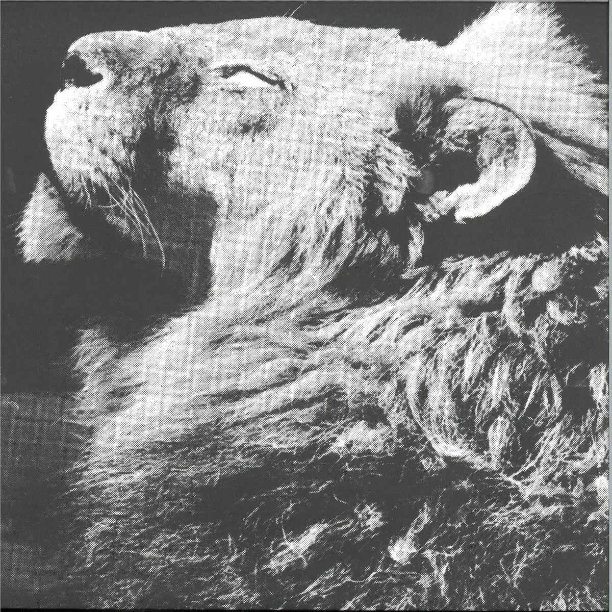 Anthony Naples — El Portal Ep