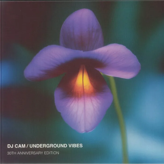 DJ CAM — Underground Vibes (30th Anniversary Edition)