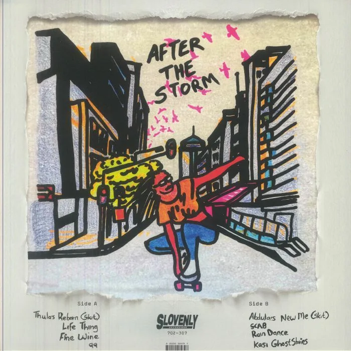 Back cover — TWENTY ONE CHILDREN — After The Storm