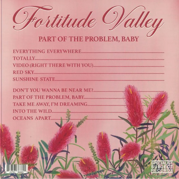 Обратная сторона обложки — FORTITUDE VALLEY — Part Of The Problem Baby