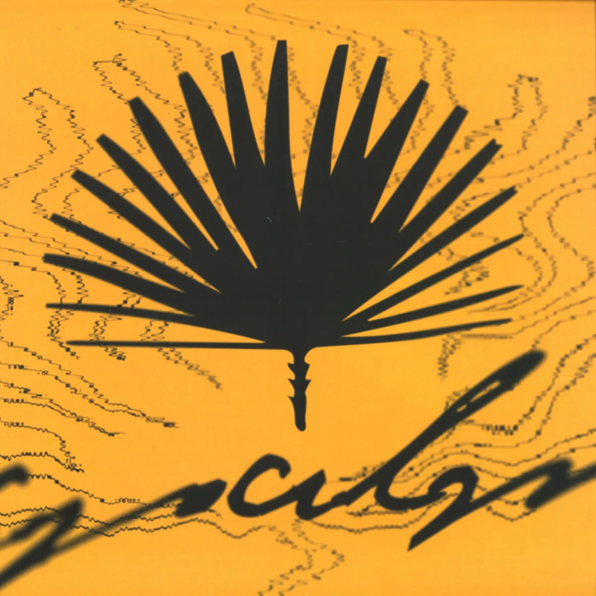 Front cover — Felipe Valenzuela, Sakro, Guy Fro Downstairs, Alffie, Pizzicatto — CINC
