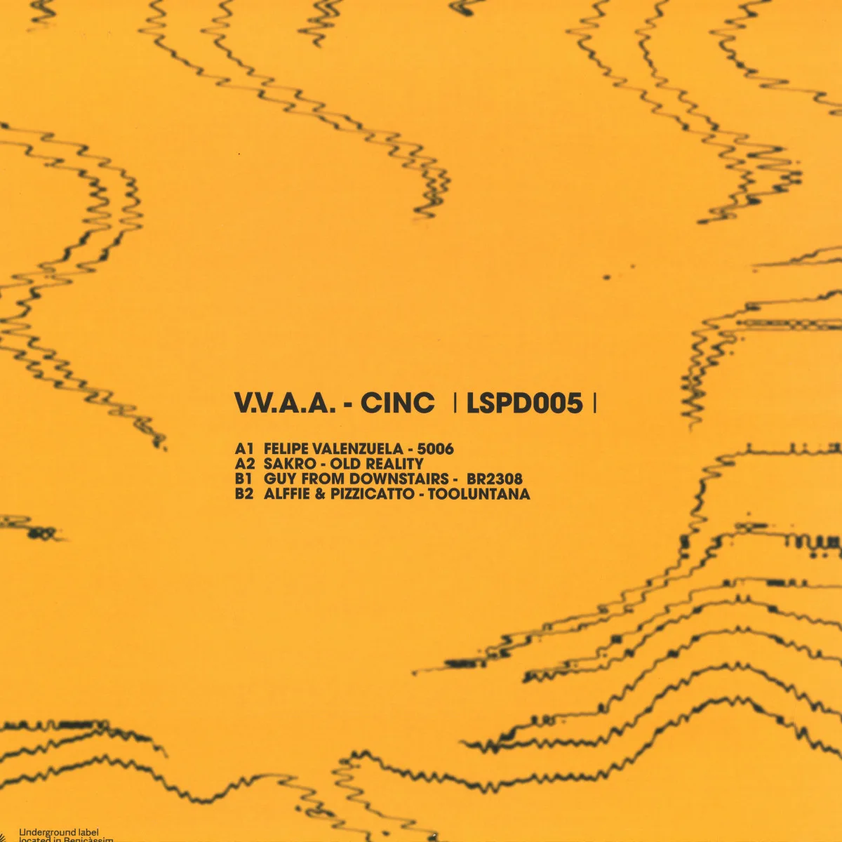 Back cover — Felipe Valenzuela, Sakro, Guy Fro Downstairs, Alffie, Pizzicatto — CINC