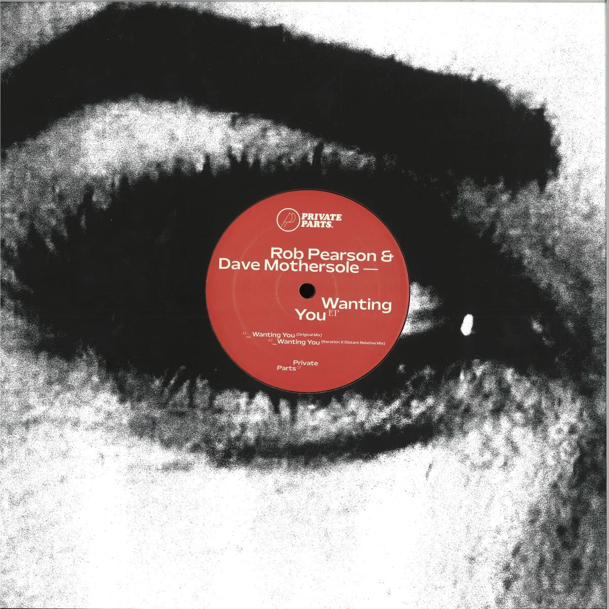 Обратная сторона обложки — Dave Mothersole,Rob Pearson — Wanting You