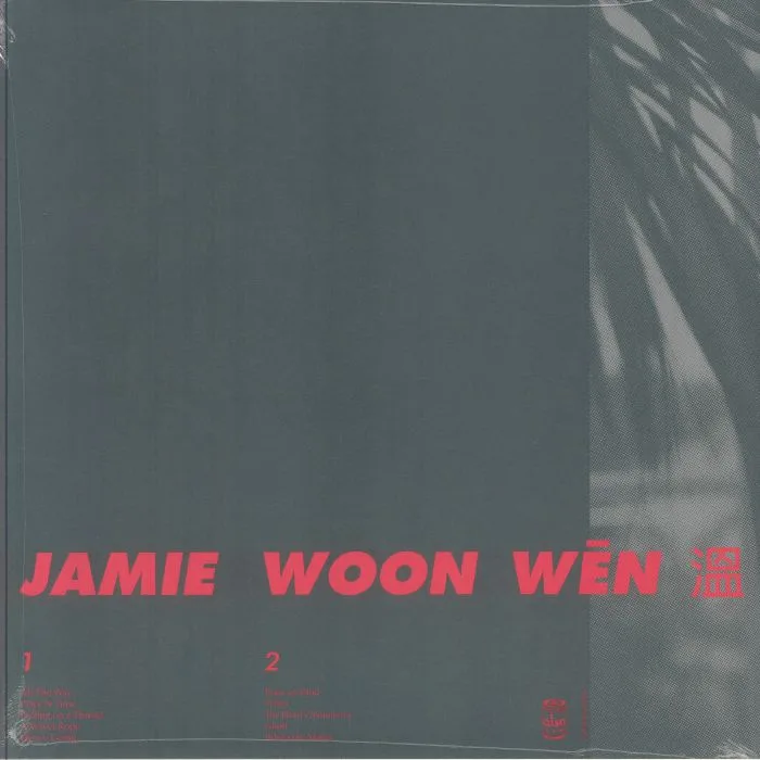 Обратная сторона обложки — Jamie WOON — 3 10 Why When