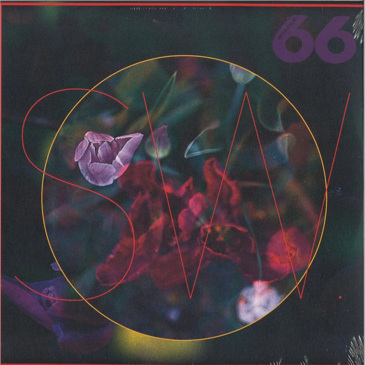 Sw. — Truelips (2x12"LP)