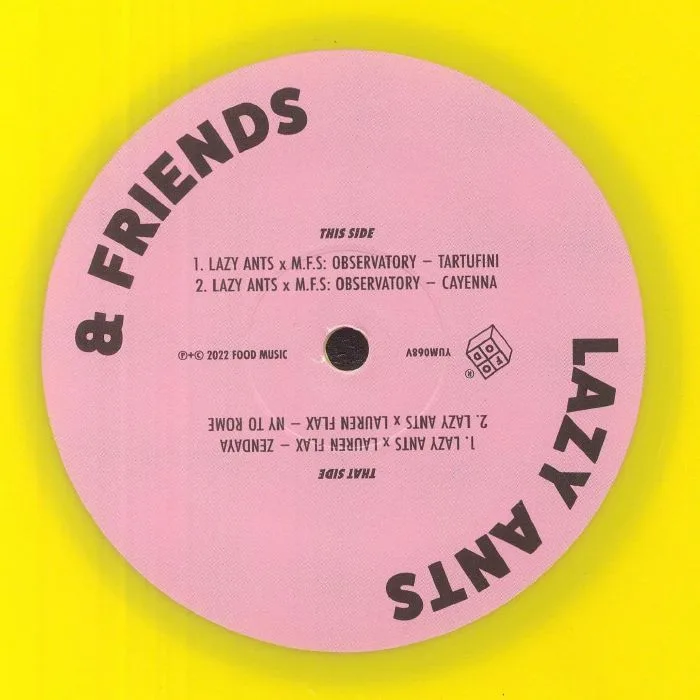 Back cover — LAZY ANTS — Lazy Ants vs Friends