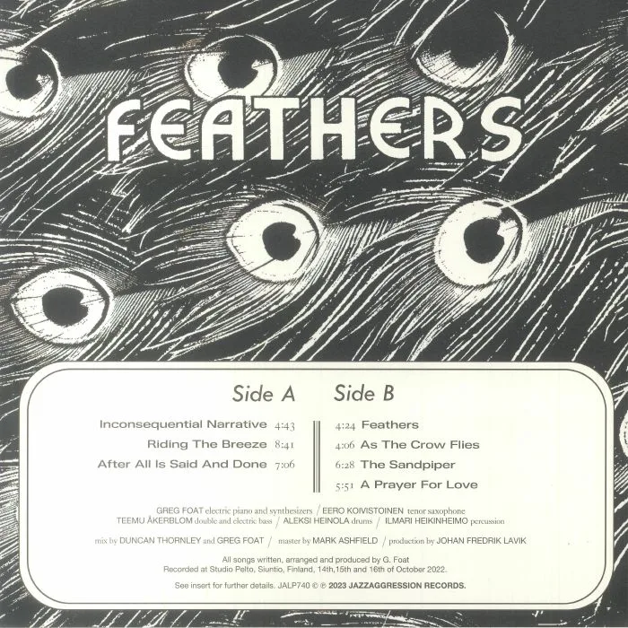 Обратная сторона обложки — Greg FOAT / EERO KOIVISTOINEN — Feathers