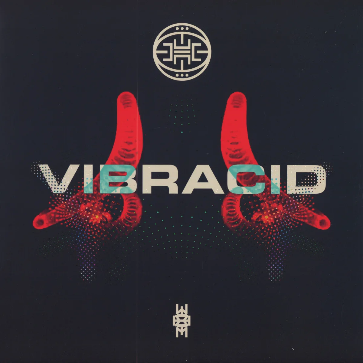 Back cover — CALAGAD 13 — VIBRACID EP