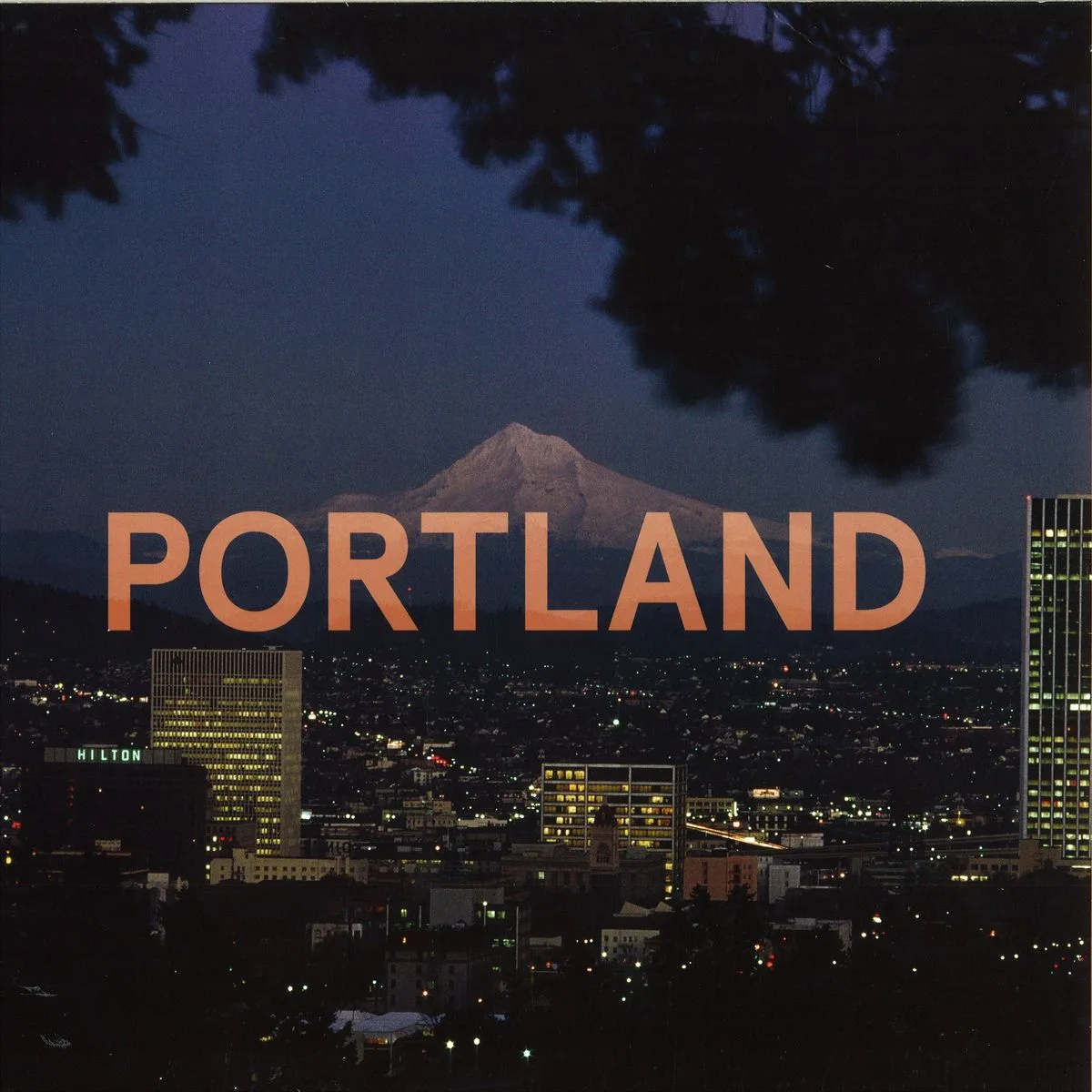Sparky — Portland 2x12 (ricardo Villalobos Remixe)