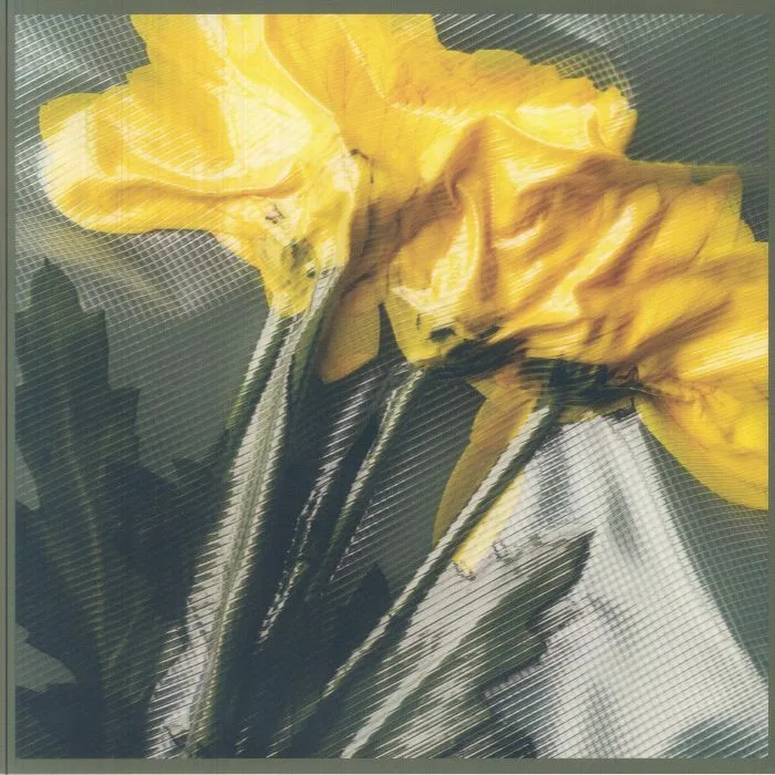 HUNTER — Mica