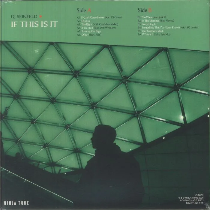 Back cover — DJ SEINFELD — If This Is It