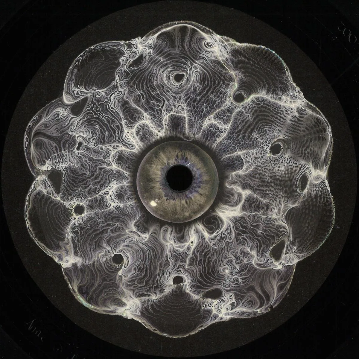 Vinyl Speed Adjust — Hypnotizin EP