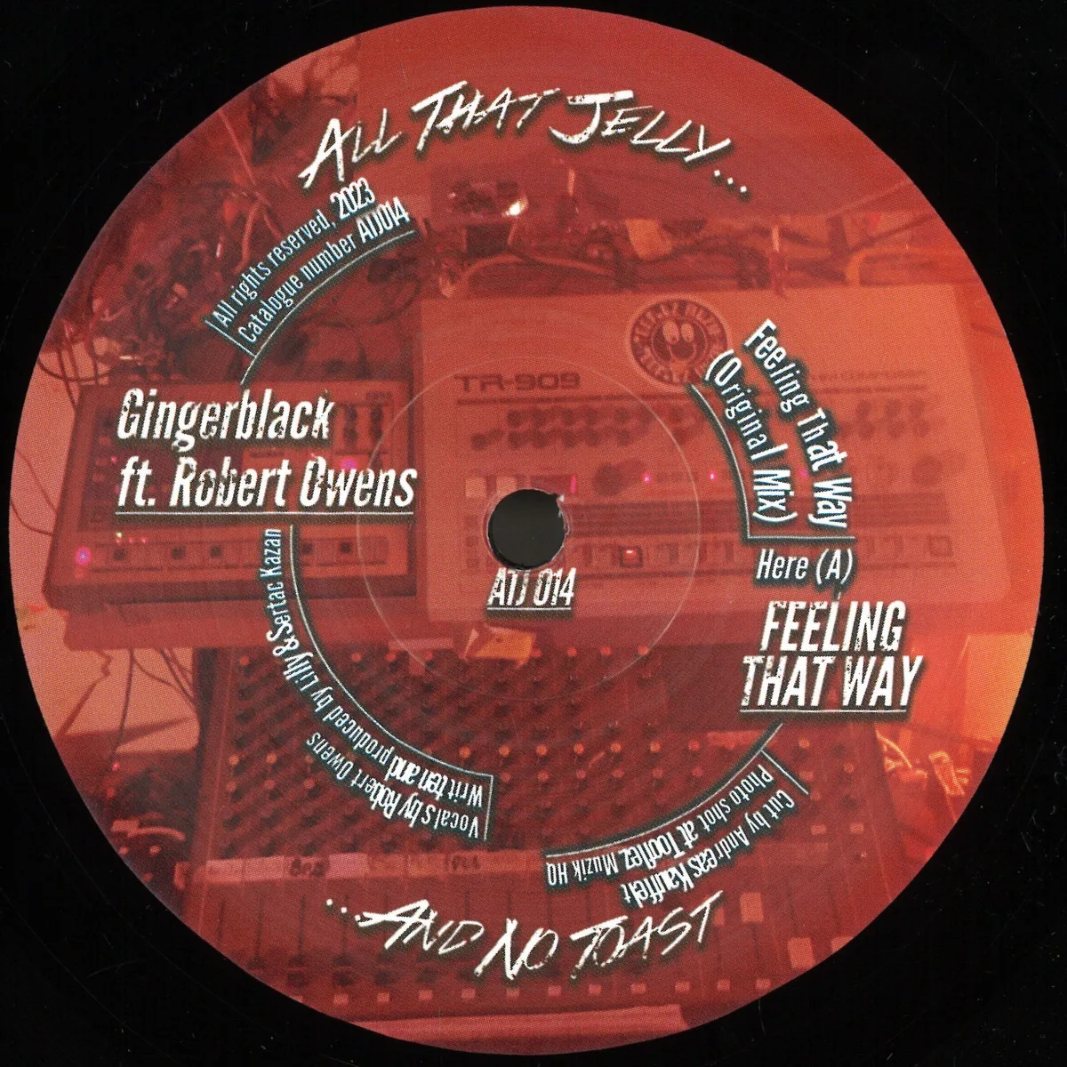 Front cover — Gingerblackft.Robert Owens — Feeling That Way